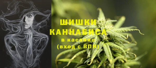 соль ск Бронницы