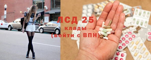 мескалин Богданович