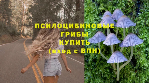 соль ск Бронницы