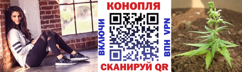 Купить где  Любим  Конопля Amnesia 